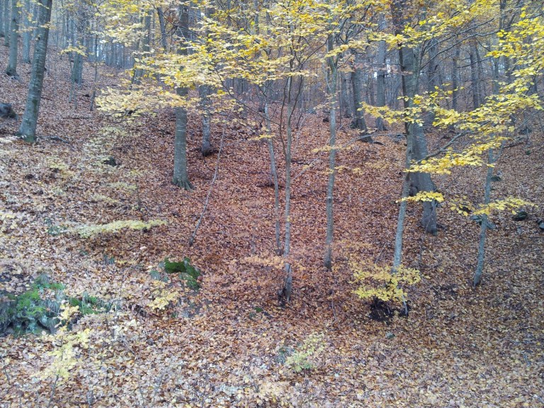 20121110_121954