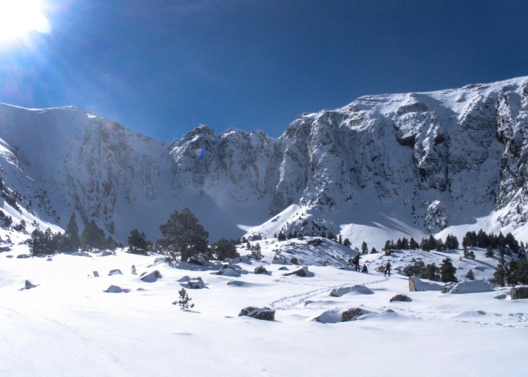 Cambre d ´aze despues de la nevada 8549170501_70b9ef1b87_o