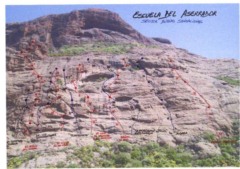 165_Aserrador Sector buenas sensaciones