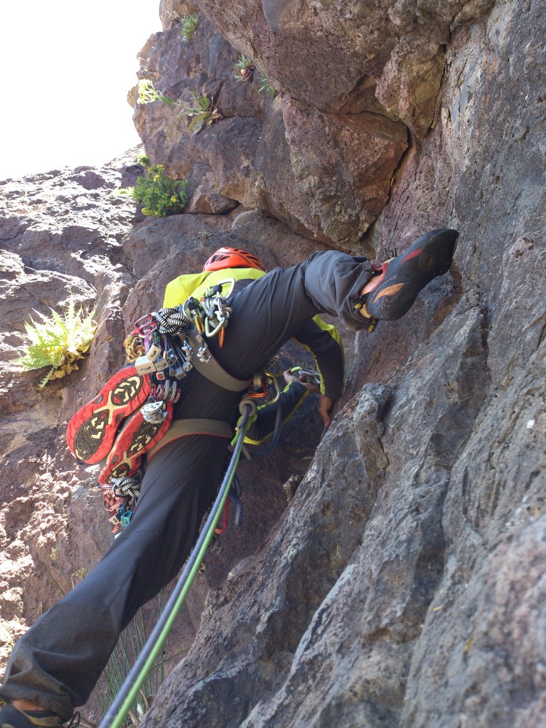 DSC_1119 - Version 2