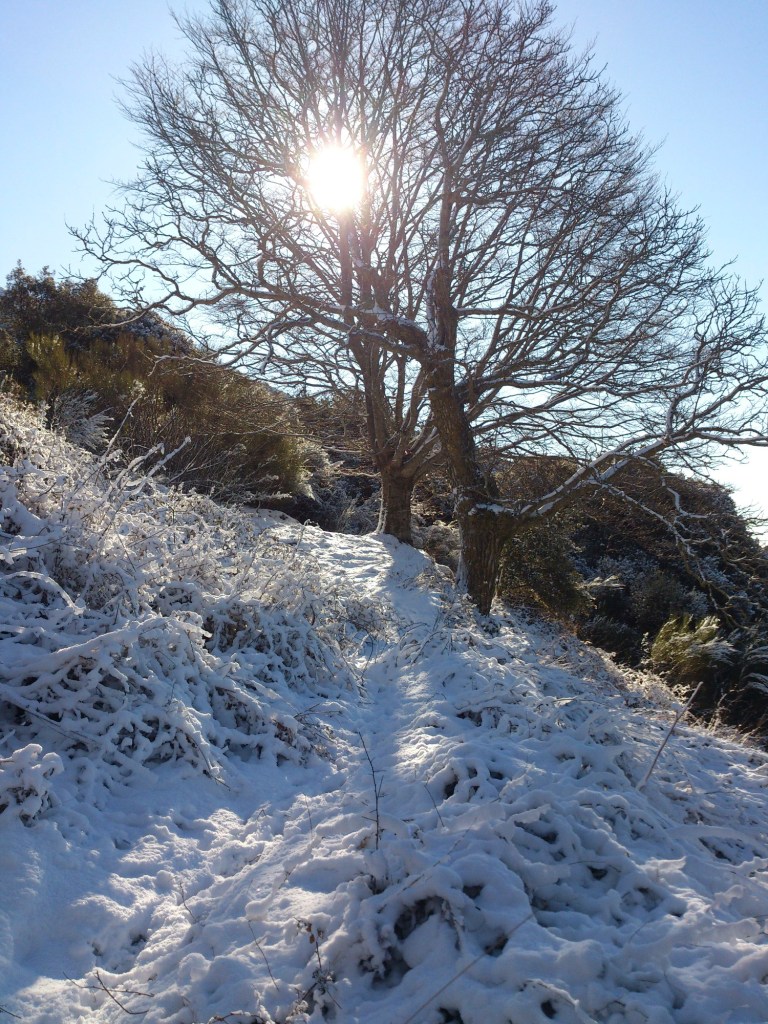 El sol comienza a calentar