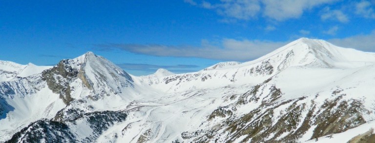 p1agib115bvs615b712pr491guha