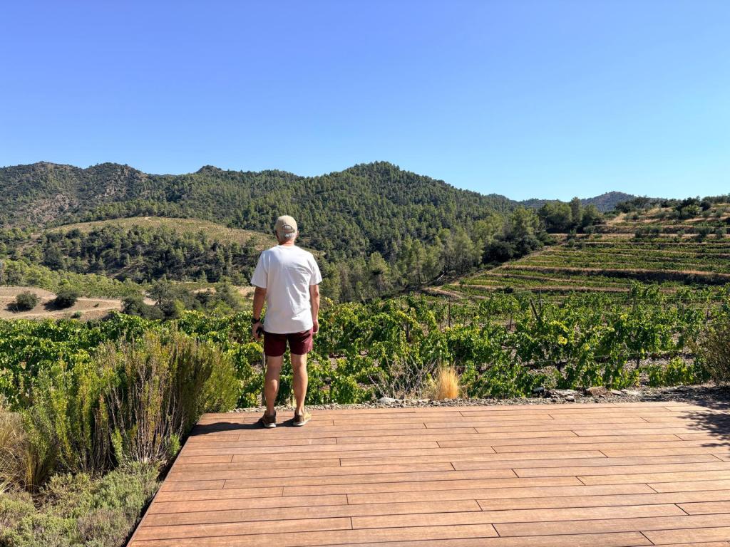 Hombre de espaldas contemplando un paisaje de viñedos y montañas bajo un cielo azul claro.