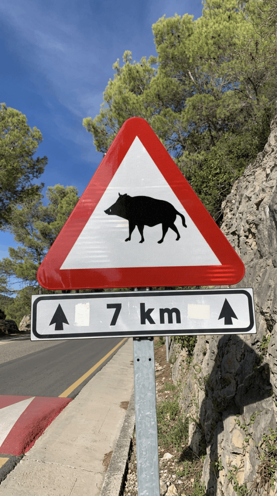 Señal de tráfico triangular que advierte sobre la presencia de jabalíes, con una distancia de 7 km indicada en la parte inferior.