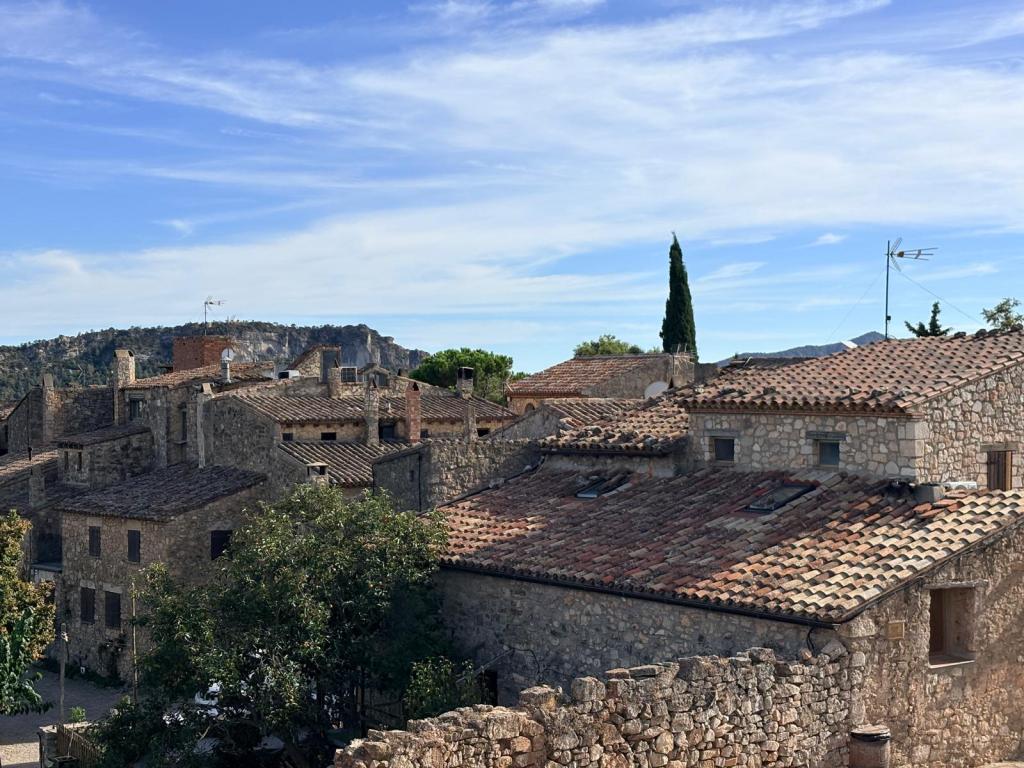 Vista de techos de casas de piedra en un pueblo, con montañas al fondo y cielo azul.